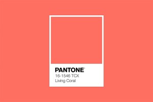 pantone-color-of-the-year-2019